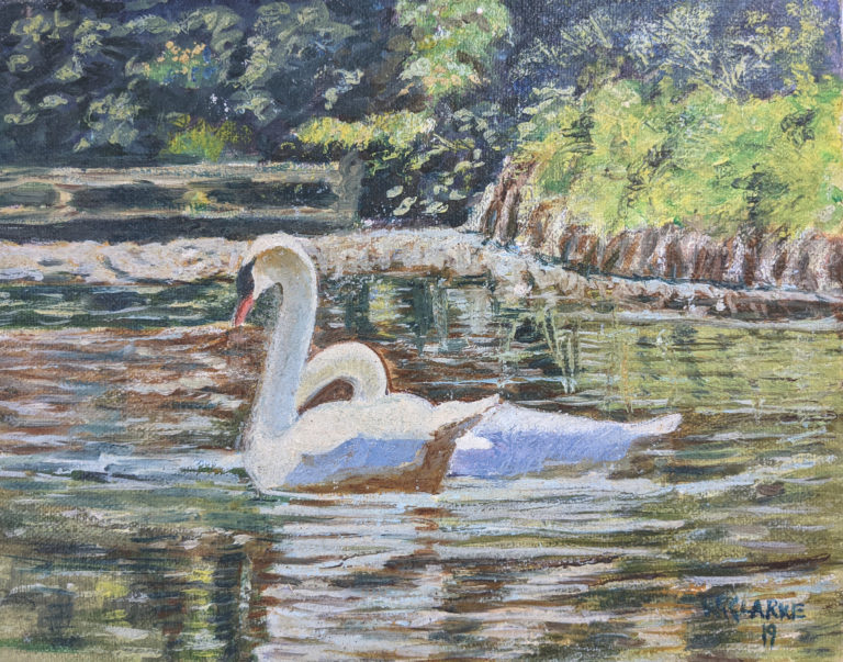 painting of a swan